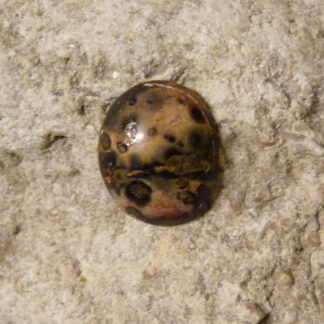 Leopardskinnsjaspis, oval cabochon