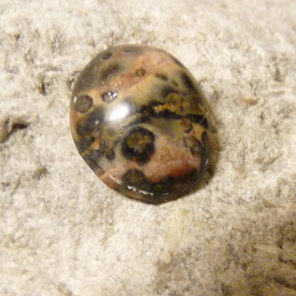 Leopardskinnsjaspis, oval cabochon